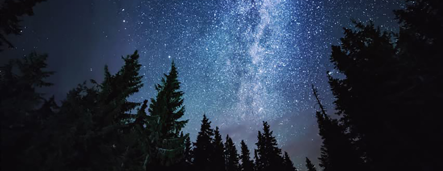 elevating_leaderhip_header