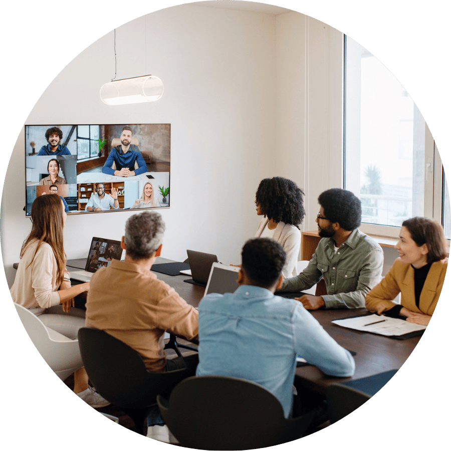 Team conference call; team virtual professional development